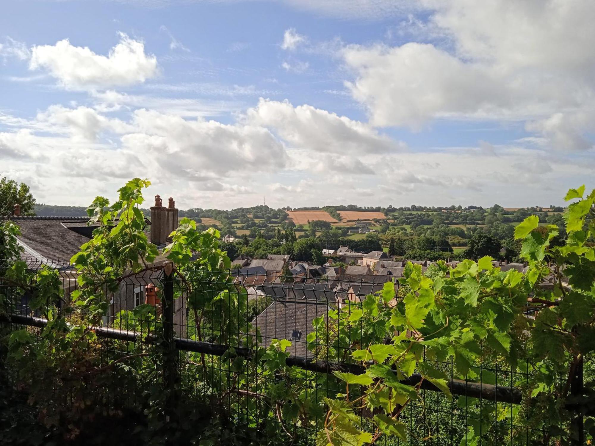 Charming Detached 2 Bedroom Ancient House In Medieval Quarter Of A Small Town In The Pays De La Loire, France Sillé-le-Guillaume Exteriör bild